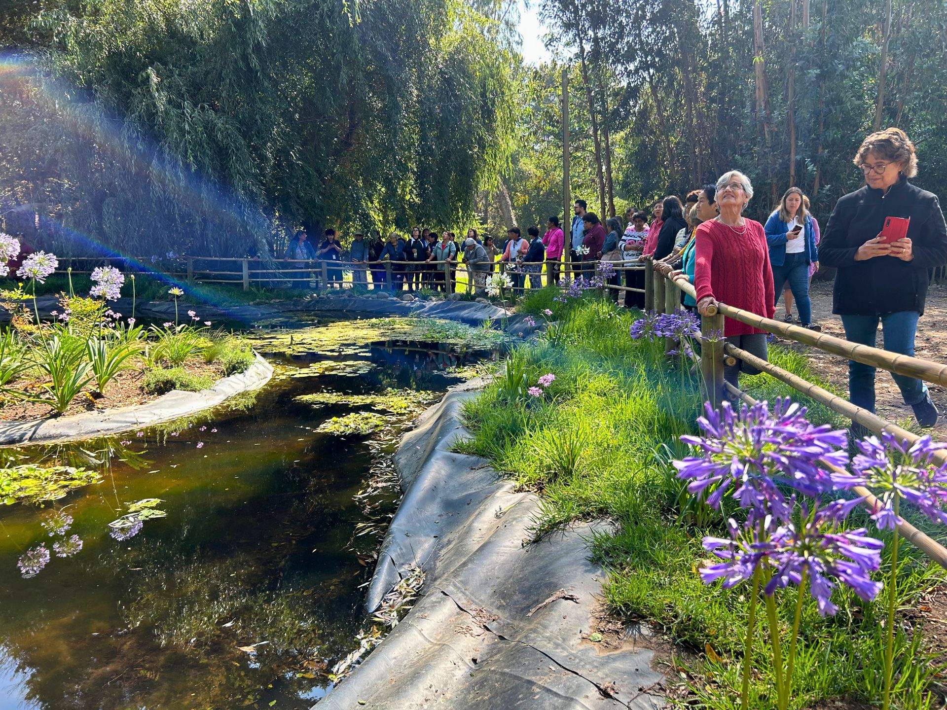 Lagunita
