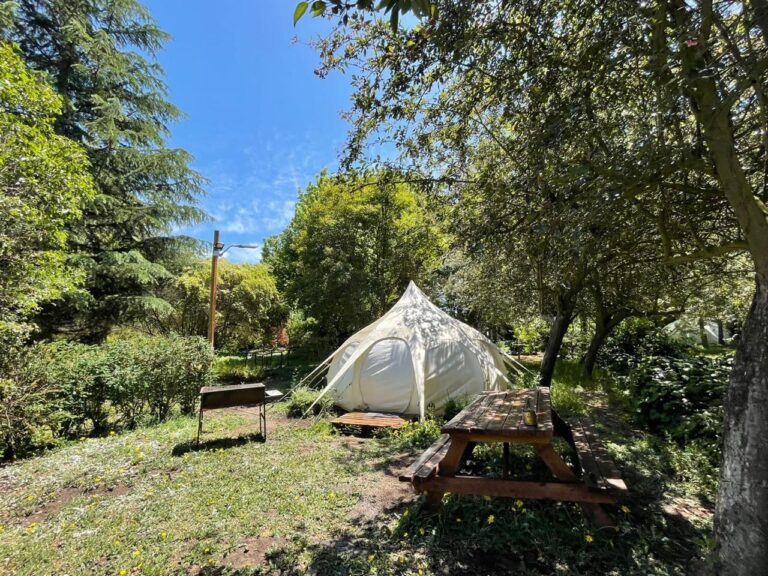 Picnic yurta 2