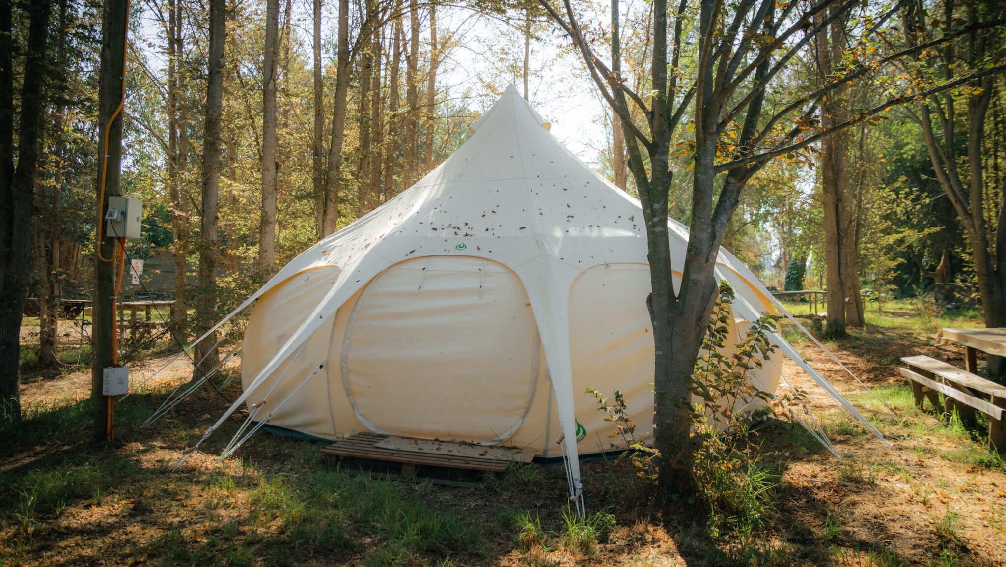 Yurta 5 exterior